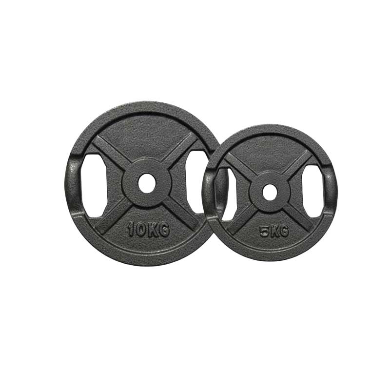 Renegade Iron Olympic Dual Grip