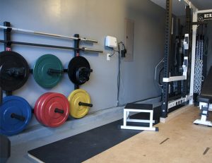 bumper plates for sale online